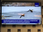 Экологическая реабилитация водоёмов Свердловской области
