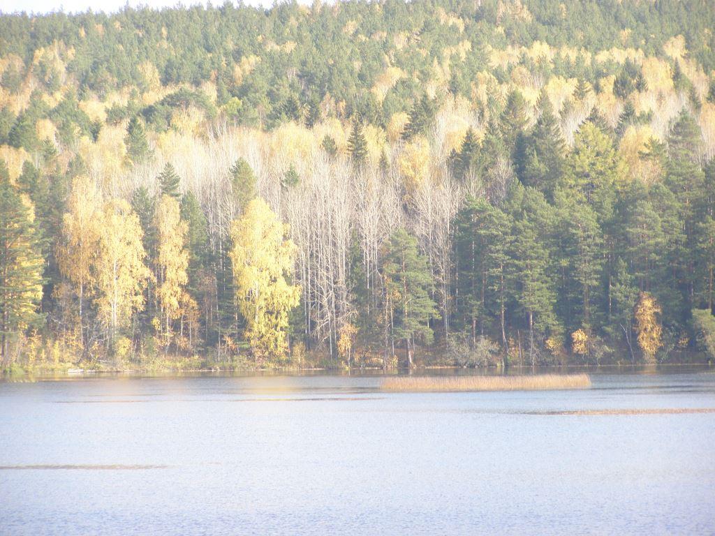 P9280973