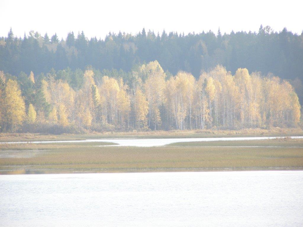 P9280976