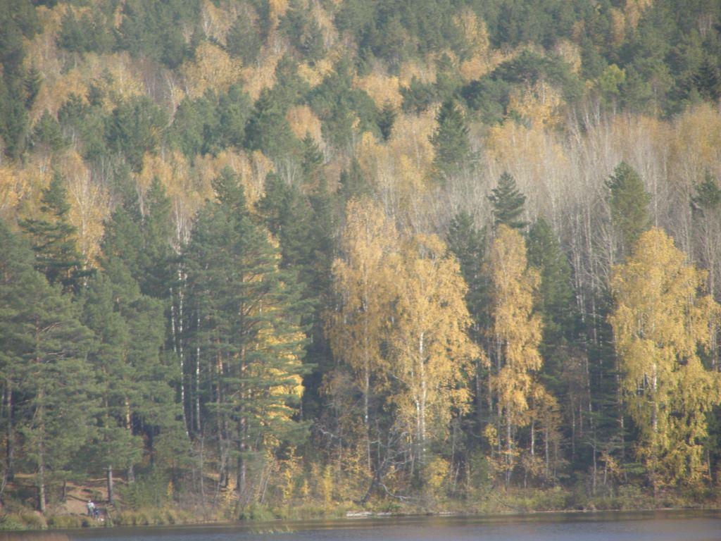 P9280979