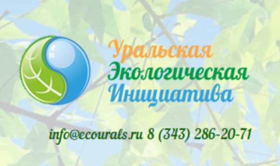 Без имени